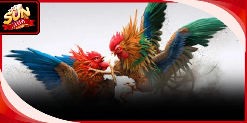 Mẹo Cược Đá Gà Cựa Dao